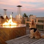 Pet-Friendly Bar Harbor
