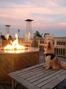 Fire Pit At Our Restaurant