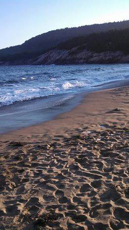 Sand Beach In Acadia National Park