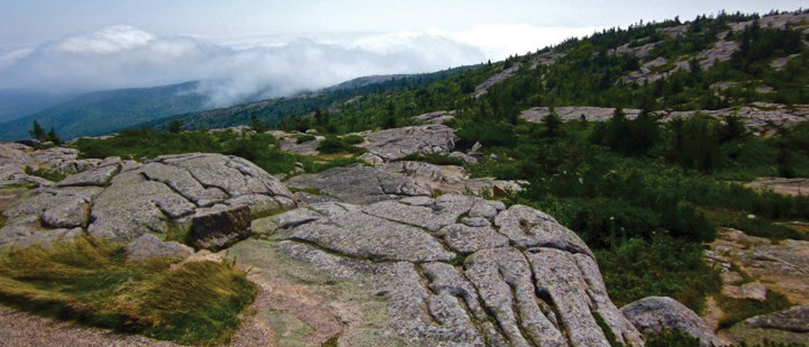 View Of Acadia National Park, Mt. Desert Island Maine